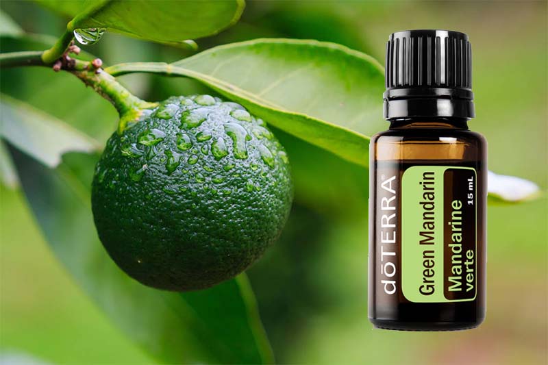 Zöld Mandarin – a citrusos frissesség új arca
