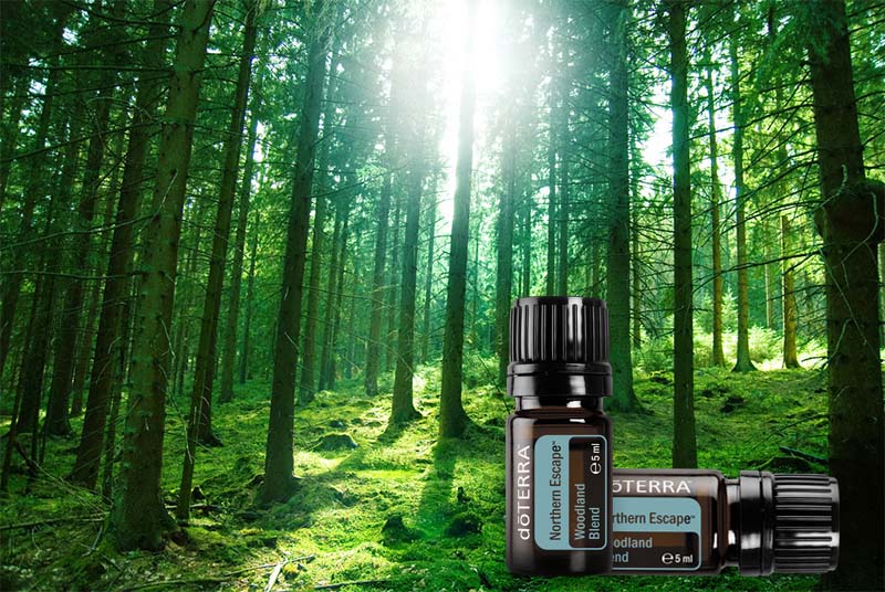 doTERRA Northern Escape – a természet frissessége egy üvegben